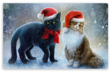 Tableau du samedi 91  : Christmas Cats 