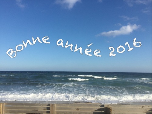 Bonne année 2016