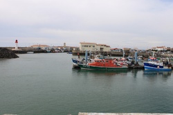 LE PORT DE LA COTINIÈRE - ÎLE D'OLÉRON 