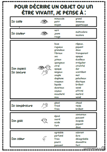 Trouver des adjectifs et enrichir sa phrase, description, décrire, ce1, ce2, cm1, dixmois