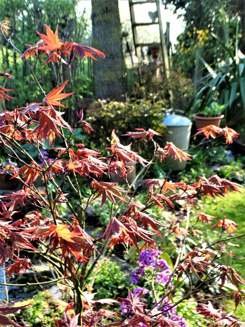 Pâques au jardin!