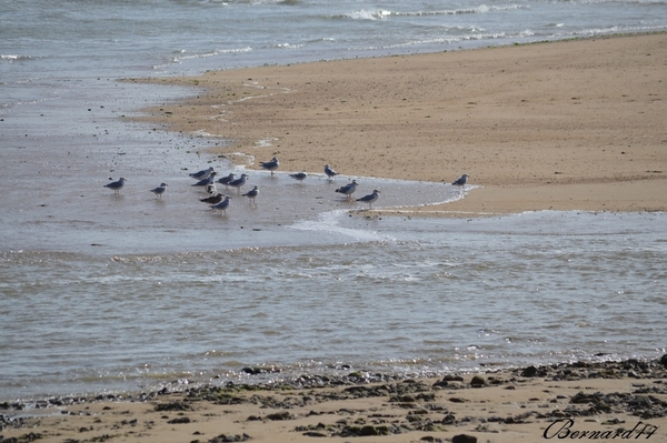 G4-Le Port du Douhet, 21-10-2021