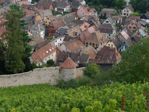 Les crêtes des Vosges 3 de Chatenois à Thann