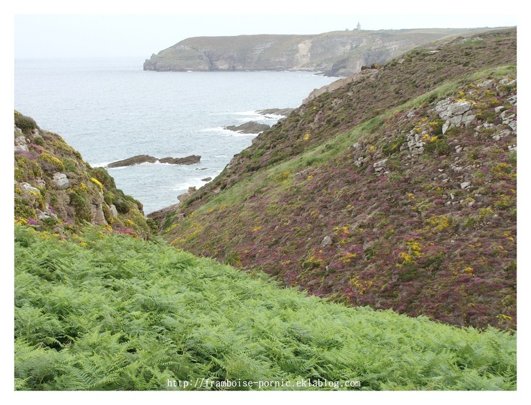 Des Sables d'Or au Cap Fréhel Cotes d'Armor 