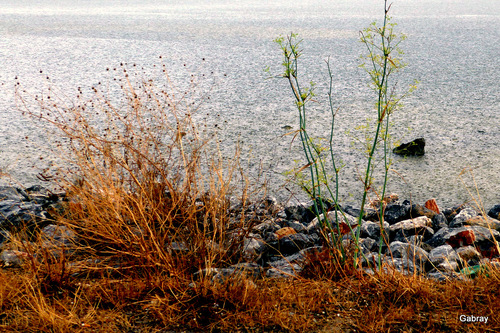 Barcarès : la pluie sur le lac marin à Leucate