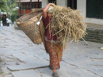 Blog de beaulieu : Beaulieu ,son histoire au travers des siècles, Trek au Népal.. Octobre 2008.. Balcon des Anapurnas