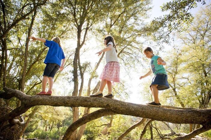 Le contact avec la nature rend les enfants plus intelligents