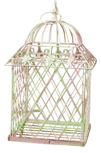 Cages à Oiseau Série 1