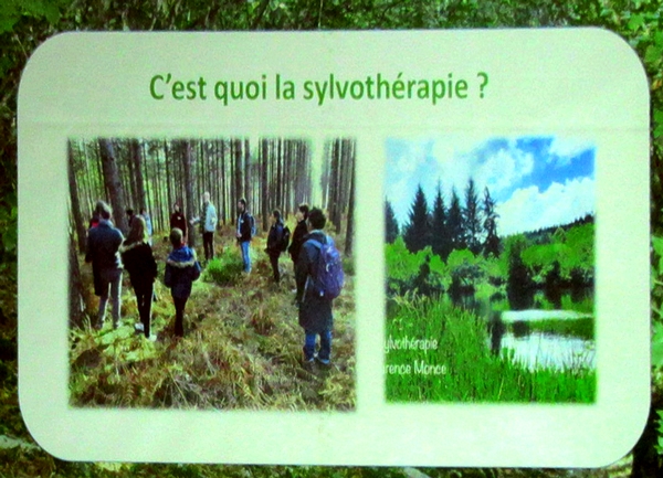 "Sylvothérapie, les bienfaits de l'arbre et de la forêt" une vivifiante conférence de Florence Guérin, initiée par  les Amis d'Aignay et des Alentours