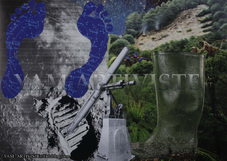 Collages Ecologie 01