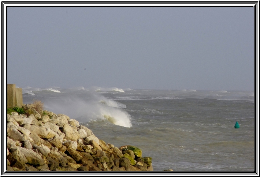 Toujours à St Denis d'Oléron mais sous la tempête 03 février 2014