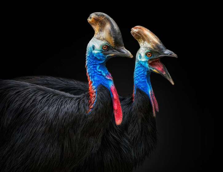 Articles/Photos sur les animaux - 6:  Pedro Jarque Krebs, photographe animalier, se mobilise pour la biodiversité