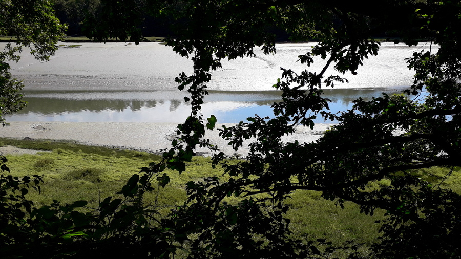  jeudi c'est photos pêle-mêle 