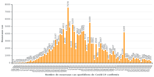 [Coronavirus] [Dimanche 24 Mai 2020]