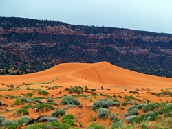 15 - Coral Pink Sand Dune