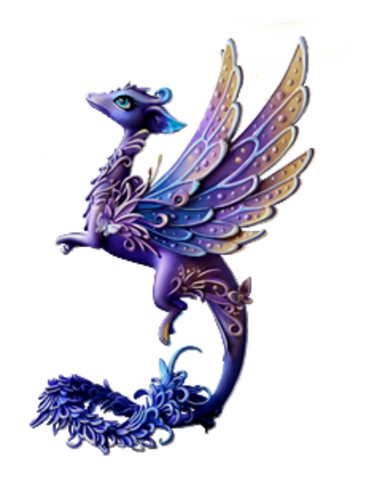 Petit dragon bleu !