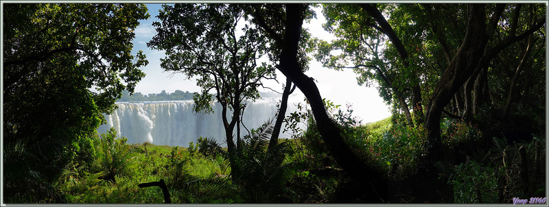 Main Falls (Chutes principales) - Chutes Victoria - Zimbabwe