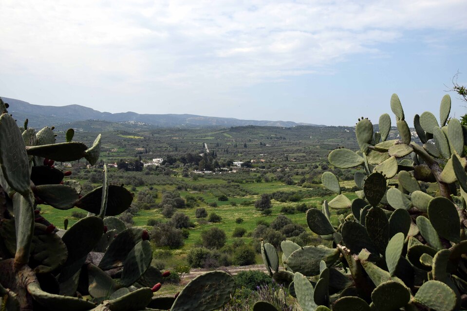 Phaestos - La plaine de Messara vue du site