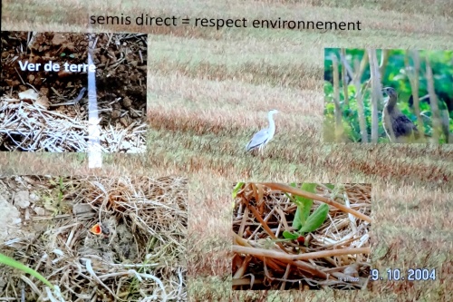 Une agriculture préservatrice de l'environnement...