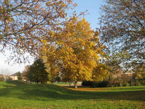 C'est l'automne ! Déjà ???