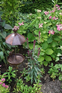 Le jardin naturellement beau de Michèle