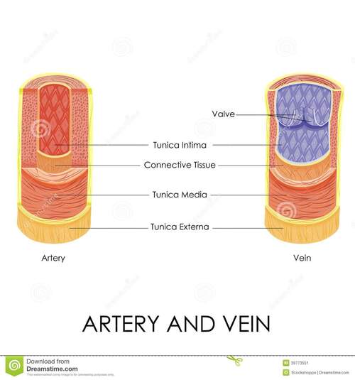 Hypertension