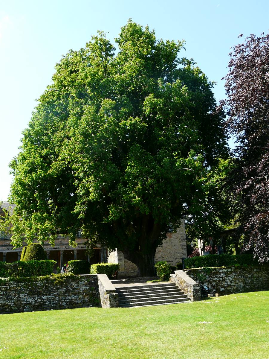 CHÂTEAU DE CHATEAUBRIANT