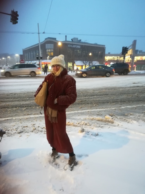 Harvard sous la neige