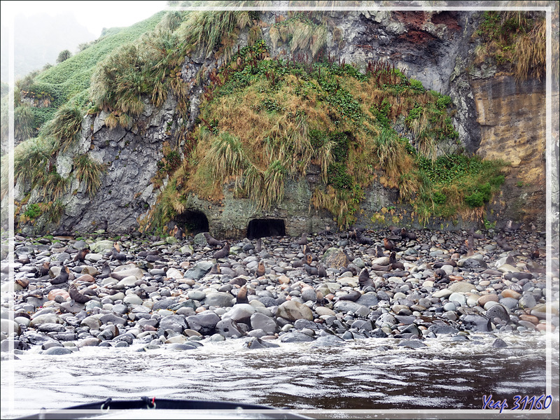 Vestiges d'occupation sur la plage d'Archway Rock (The Glen) - Quest Bay - Gough Island - Tristan da Cunha