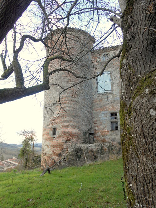 Le Château oublié de Villarzel-du-Razès