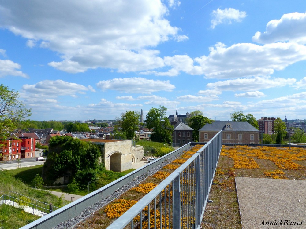 Notre nouvelle citadelle 