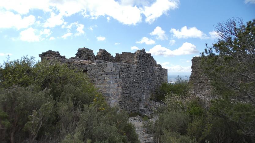 Aucune description de photo disponible.