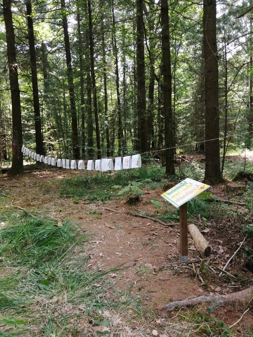 L'inauguration du sentier pédagogique