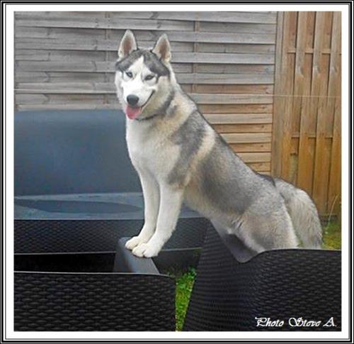 Ilouky (11 mois)