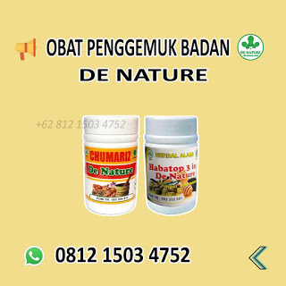 Kenali Beberapa Pilihan Obat Penggemuk Badan Gemuk Plus De Nature 