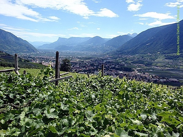 Au-dessus-de-Meran---Trentin-Haut-Adige.JPG