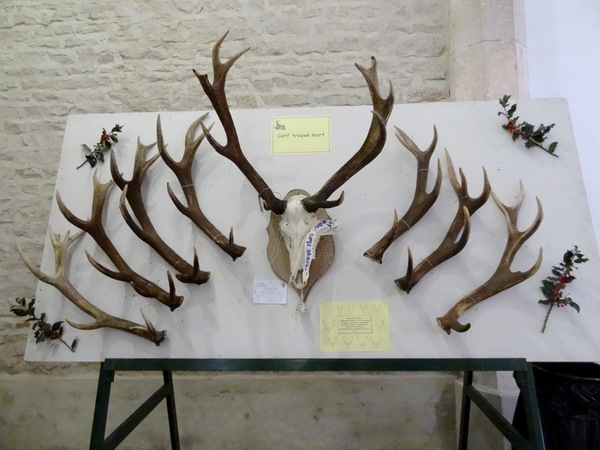 Une belle fête de la chasse 2014 a eu lieu dans l'abbaye d'Auberive...