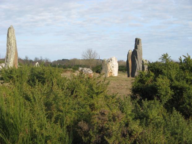 LANDES de CORJOUX en SAINT-JUST (35)