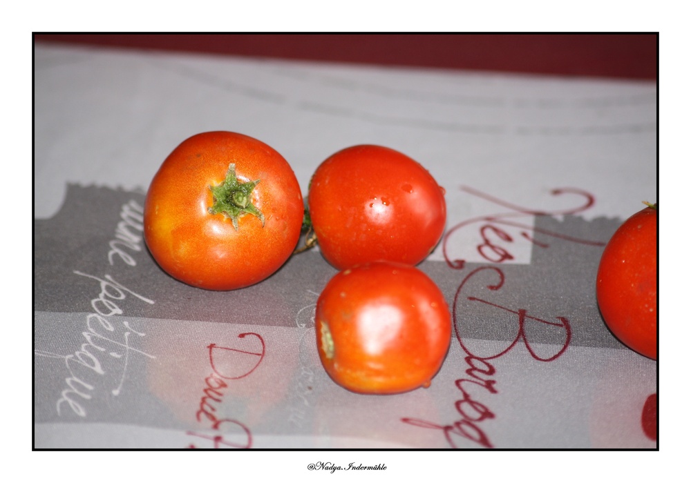 Tomates du jardin 2015