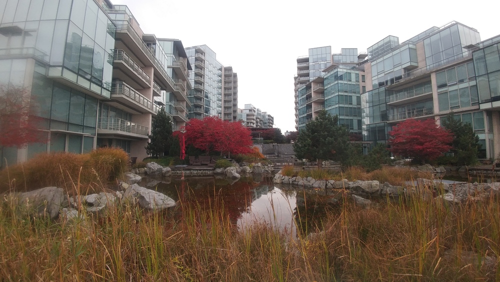 November Break in Vancouver: Third Day: Beaches and Shores