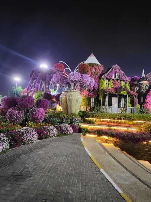 Miracle Garden ,Dubai UAE