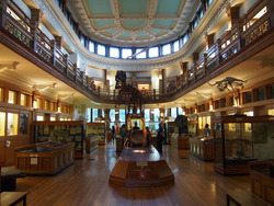 Redpath museum