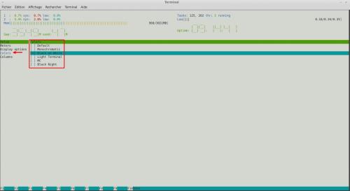 Utilisation du moniteur système HTOP