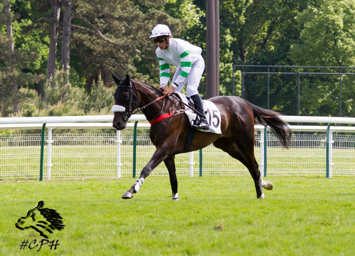 Grand Steeple Chase de Paris