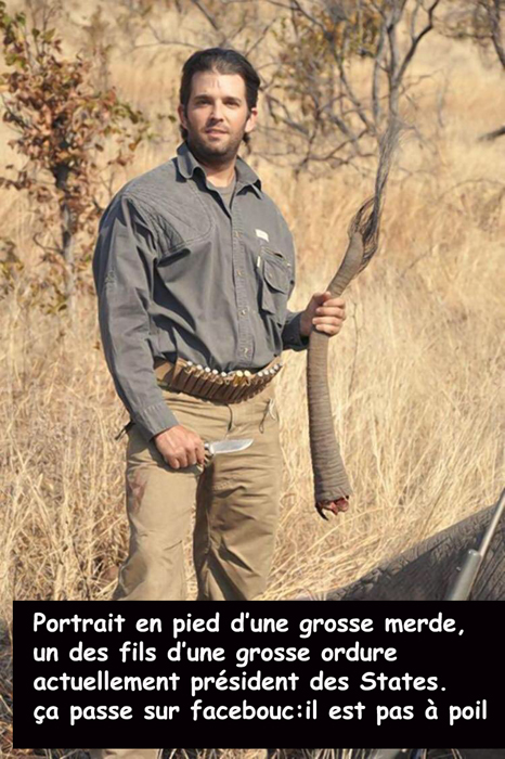 Trump/éléphants