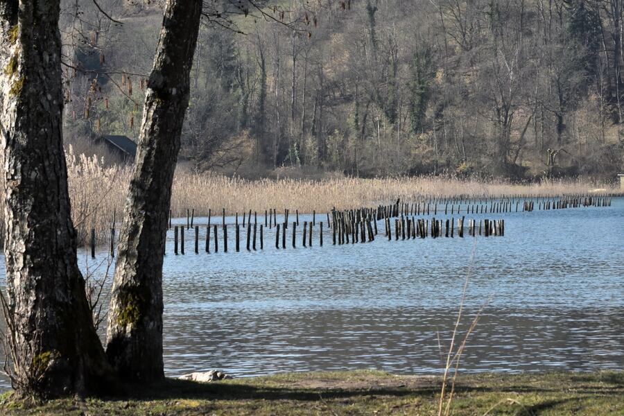 2019.02.24 Lacs de Aiguebelette et de St-André (département Savoie)1