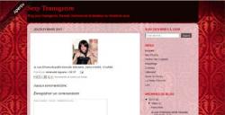 Mon Blog plus Soft