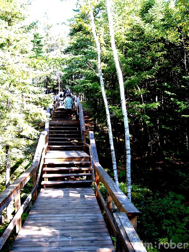 Chicoutimi , Souvenir d'un village fantôme 