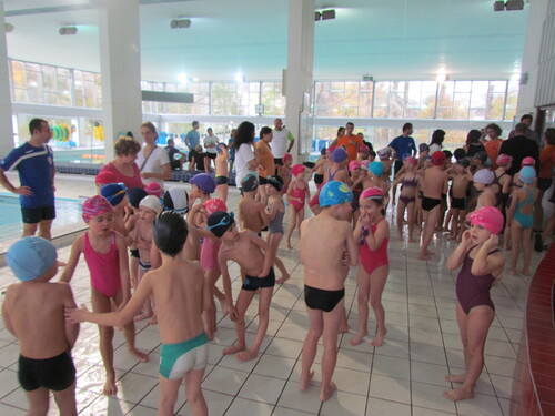 cycle piscine