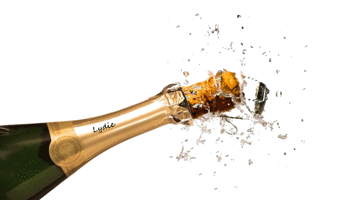 RÃ©sultat dâimages pour champagne gif